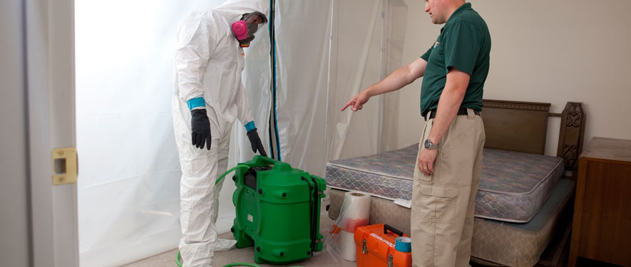 moscow, ID mold removal process